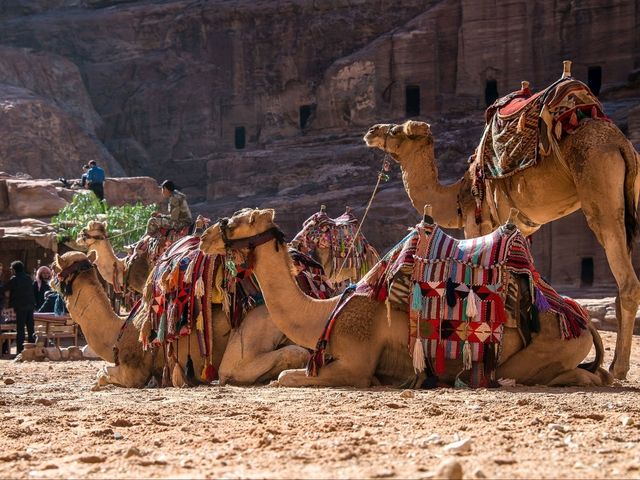 Petra – The Rose-Red Jewel of Jordan 🏜️✨