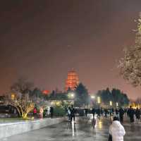 СИАНЬ за один день!