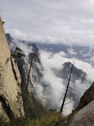 在 Trip.com 一鍵搞定華山門票，輕鬆開啟壯美山岳之旅