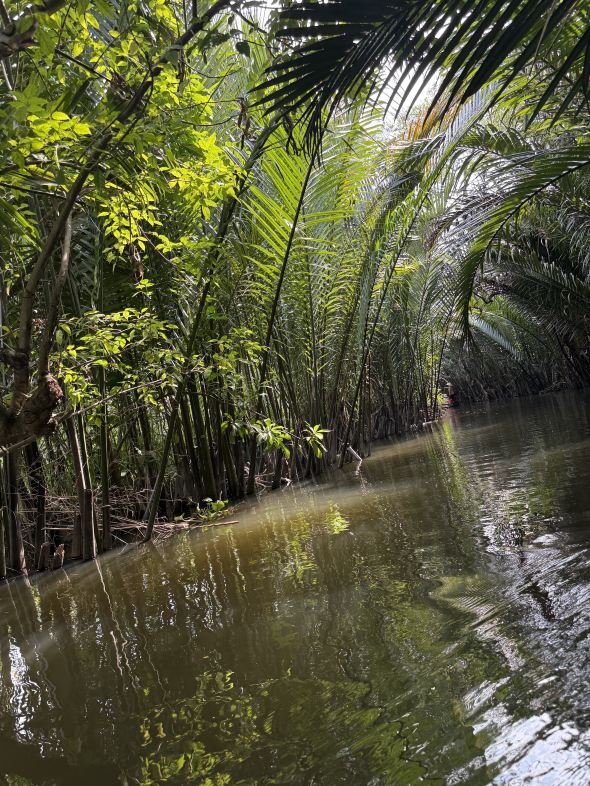 Mekong Delta Full Day Tour: Exploring My Tho & Ben Tre with an Excellent Guide