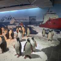 Underwater world Aquarium 