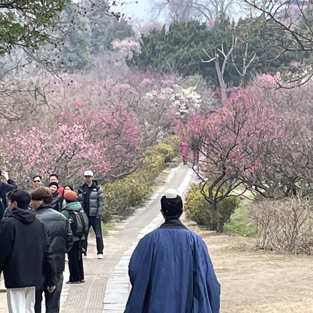 600年の眠りから蘇って来そうな石像にドッキリ、明孝陵