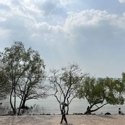 Latest travel itineraries for Shenzhen Mangrove Nature Reserve in October  (updated in 2023), Shenzhen Mangrove Nature Reserve reviews, Shenzhen  Mangrove Nature Reserve address and opening hours, popular attractions,  hotels, and restaurants near