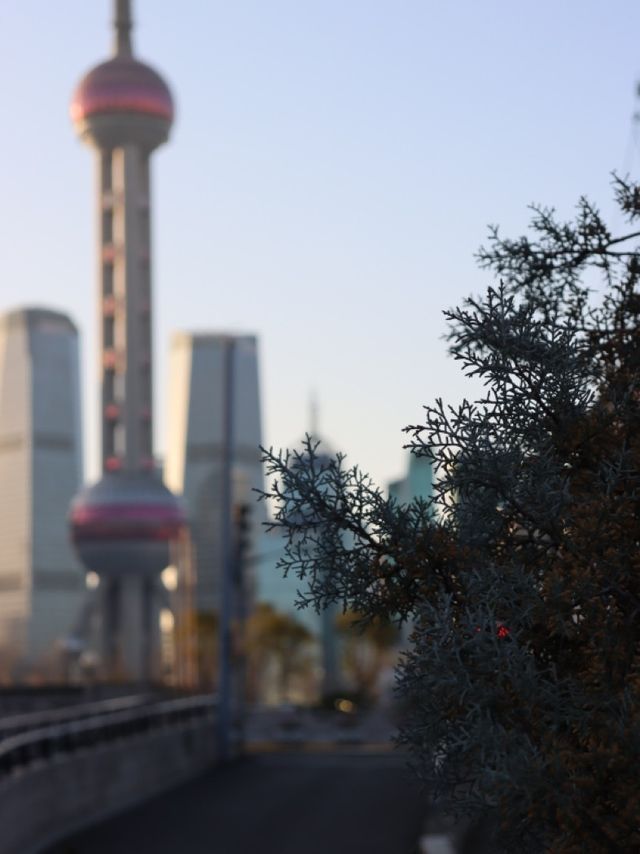 Views from Hongkou District, Shanghai🏙️
