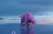Seraphina_4_Darkwater_63