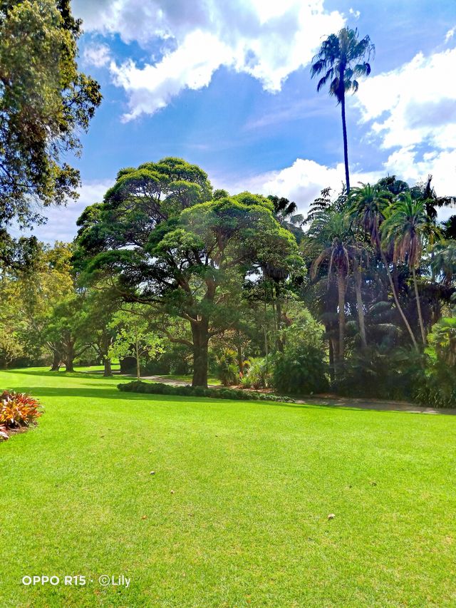 Sydney Royal Botanic Garden