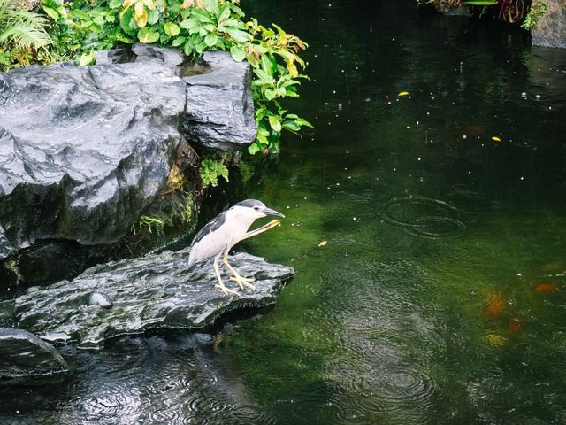 打卡台北第一名剎——龍山寺