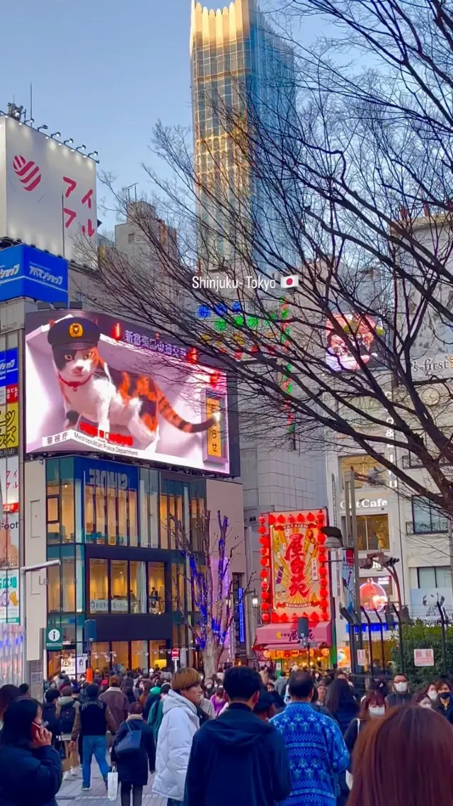 Shinjuku Serenity: Exploring Tokyo's Urban Oasis 🌸🌸🌸