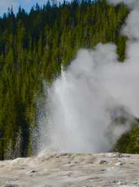 Old Faithful Geyser - the most famous geyser in Yellowstone National Park.