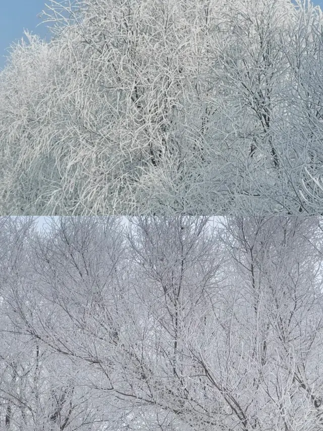 Heilongjiang's incredibly beautiful rime