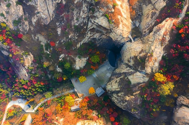 漫山紅葉醉深秋