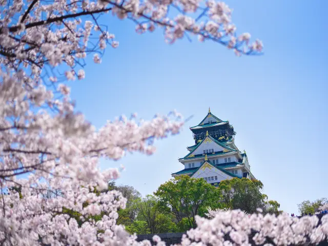 📸 ユニークな旅行写真を撮るために、大阪のヒットスポットをランキングしています