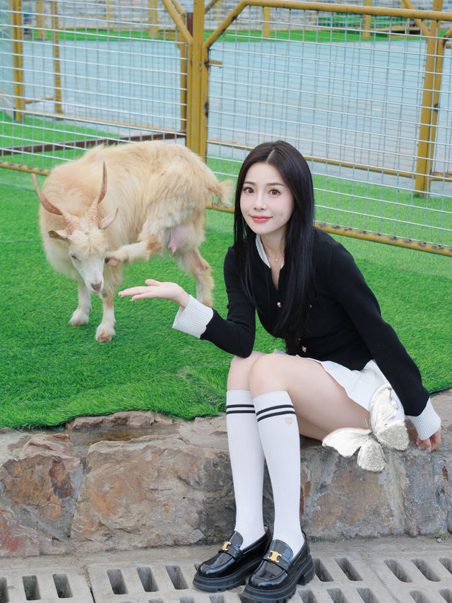 成都超級大片粉黛子！太美了！