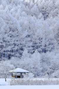 日本冬季旅遊攻略