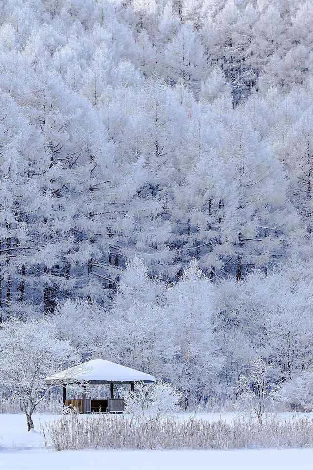 日本冬季旅遊攻略