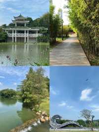深圳 中心公園 |藏在市中心的綠野仙蹤