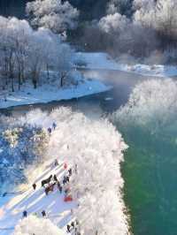 中國霧松仙境第一島，定格這份冰雪之美！