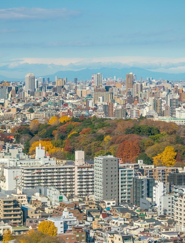 準備去日本旅遊的姐妹存下吧，很難找全的