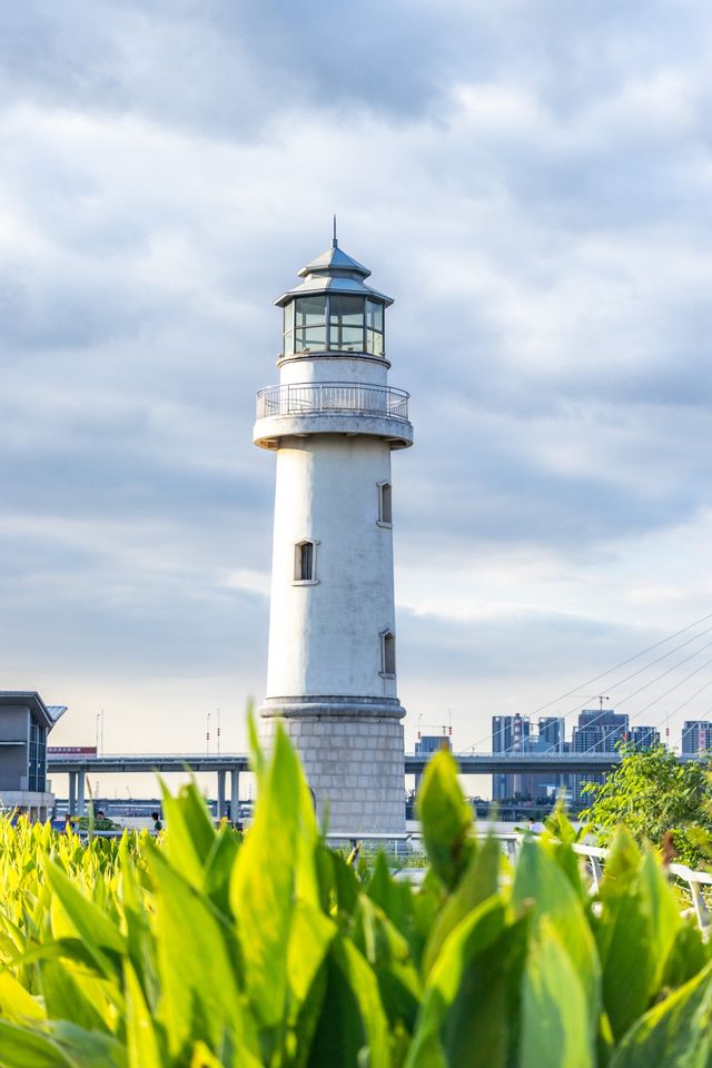 南沙靈山島尖：秘境之旅，盡享自然之美