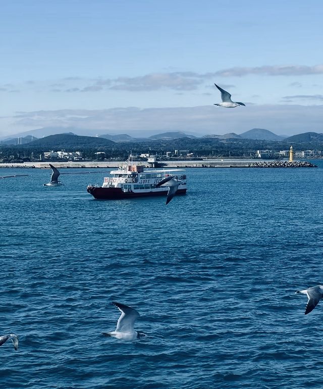 韓國濟州島果凍海奇幻而美麗