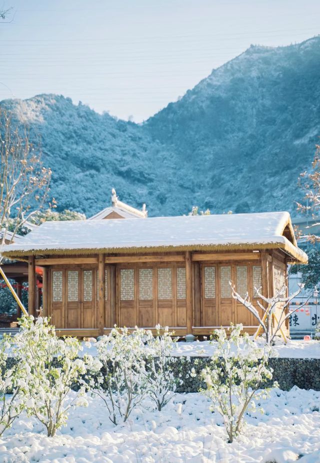 這不是北海道這是2024年的溫州！