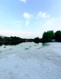 金海濕地公園,這裡不僅僅只有濕地