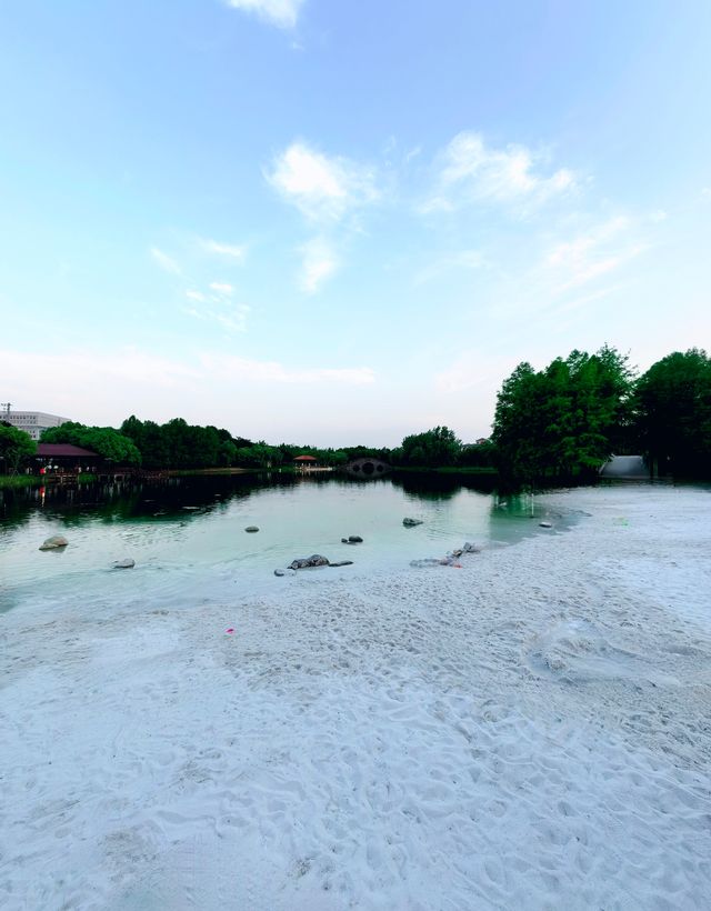 金海濕地公園,這裡不僅僅只有濕地 金海濕地公園,這裡不僅僅只有濕地