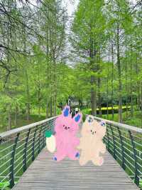 江蘇‖無錫˙尚賢河濕地公園周末休閒好去處