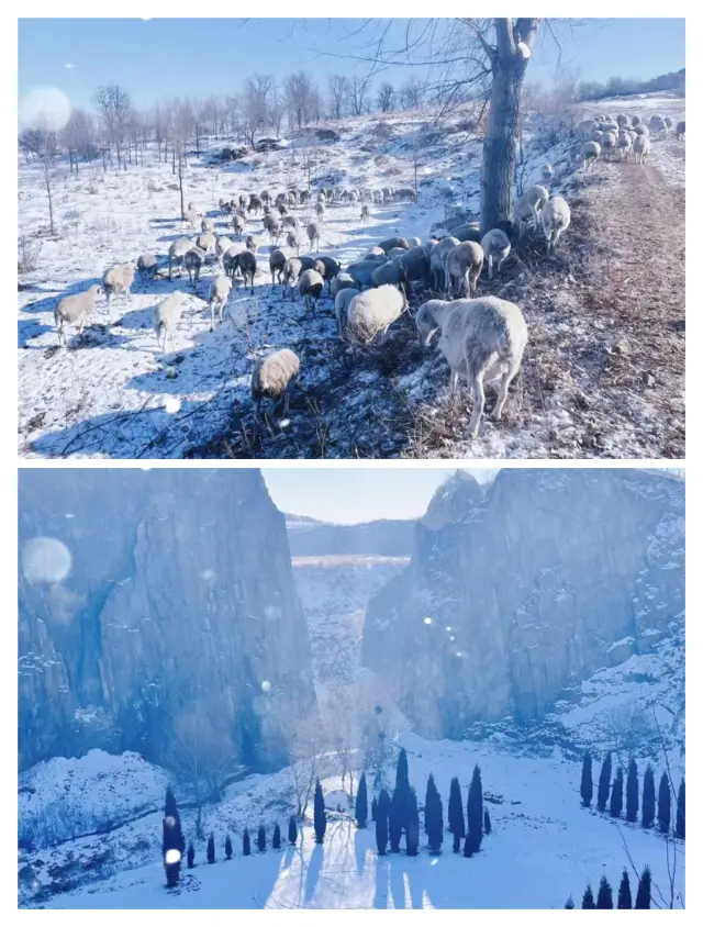 The cold winter is coming, sharing my favorite Liaoyang Qipanshan Ice and Snow World this year