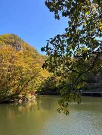 關門山賞楓好去處