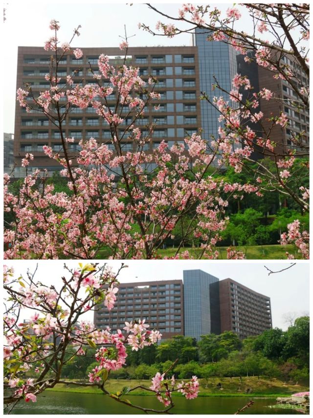 您在廣州住希爾頓逸林酒店