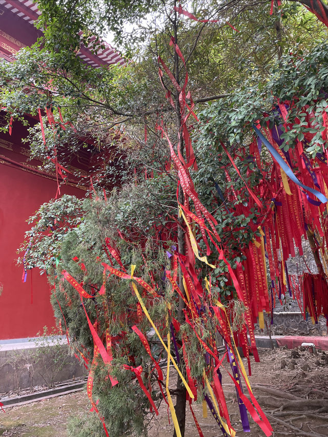 肇慶四會六祖寺  來的時候是冬天，天氣也冷，圖片沒有經過處理，全部是原圖，但是人還是挺多的，六祖寺裡