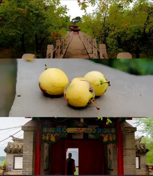 千山の麓に隠れた百年の古寺皈源寺