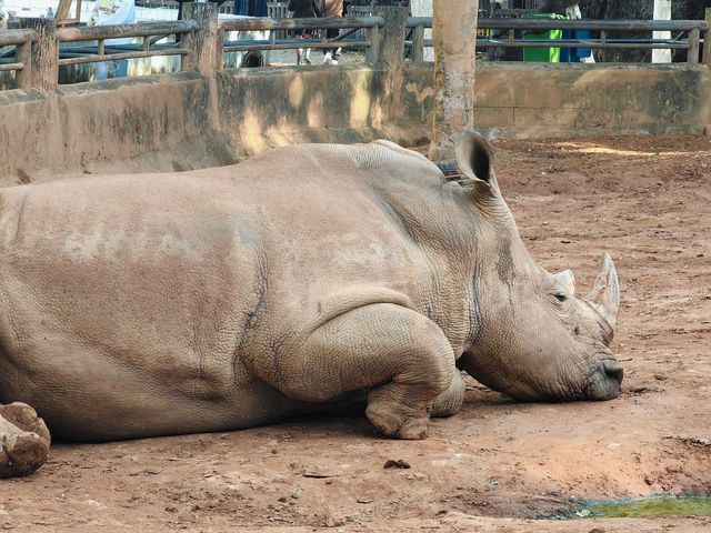 昆明圓通山動物園