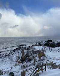 煙台養馬島風雪之後景色美爆了！