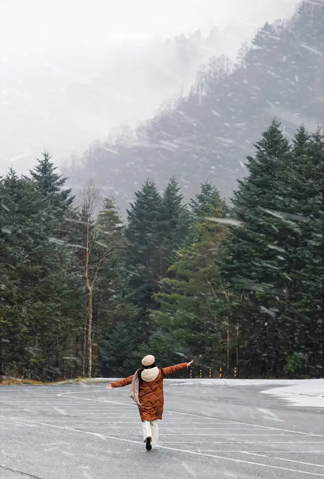 湖北の人々は自分たちだけの雪国、神農架の2日間の旅行ガイドを持っています