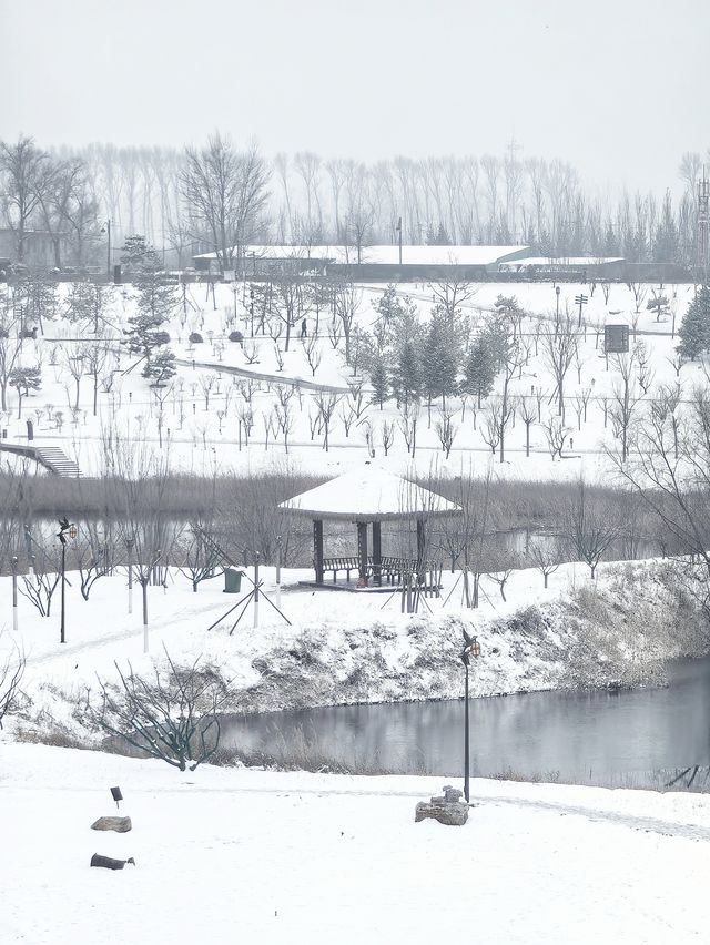 今日立春丨再看一眼雪落太原雁丘園