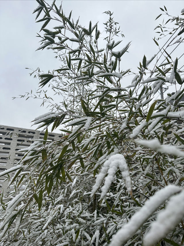 恩施絕美雪景全屋地暖民宿欣之堡•遠山