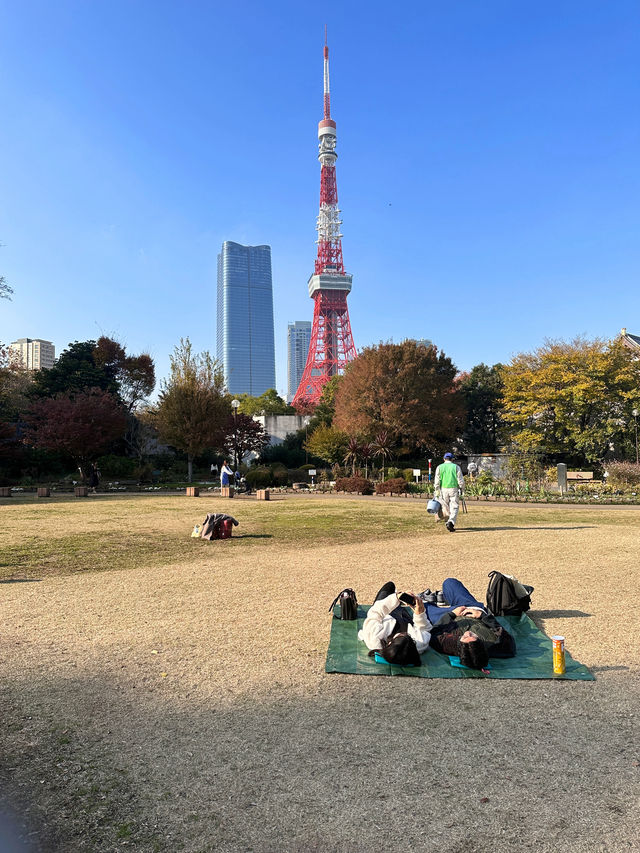 在離開東京前一定要來一次芝公園！