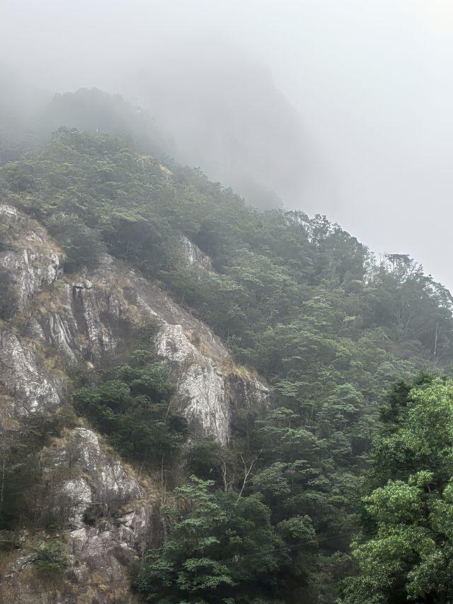 雲霧繚繞北雁蕩   仙俠意趣撲面來