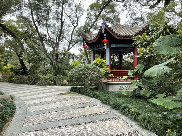 屏山公園賞櫻