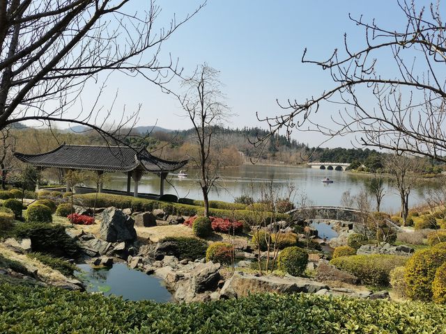 南京空氣好，景色好！銀杏湖如畫春天