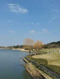 南京空氣好，景色好！銀杏湖如畫春天
