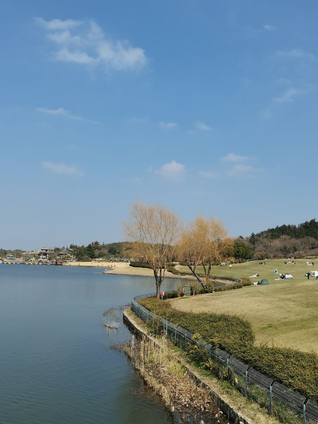 南京空氣好，景色好！銀杏湖如畫春天
