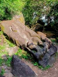 瓦普寺【蟒象鱷龍】老撾境內的吳哥寺廟世遺