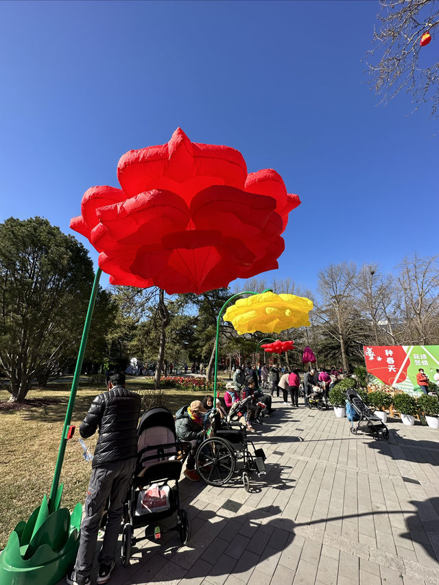 魅力花園節 約會春天裡