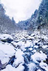 川西厄爾納溝‖南方小土豆的冰雪童話世界