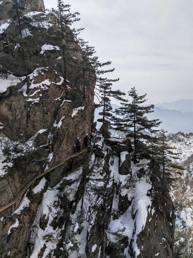 老君山的絕壁棧道