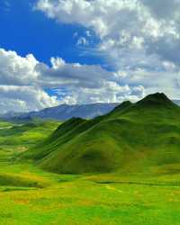 桑科草原只有兩種顏色，湛藍和碧綠
