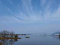 福州沙灘公園賞花行